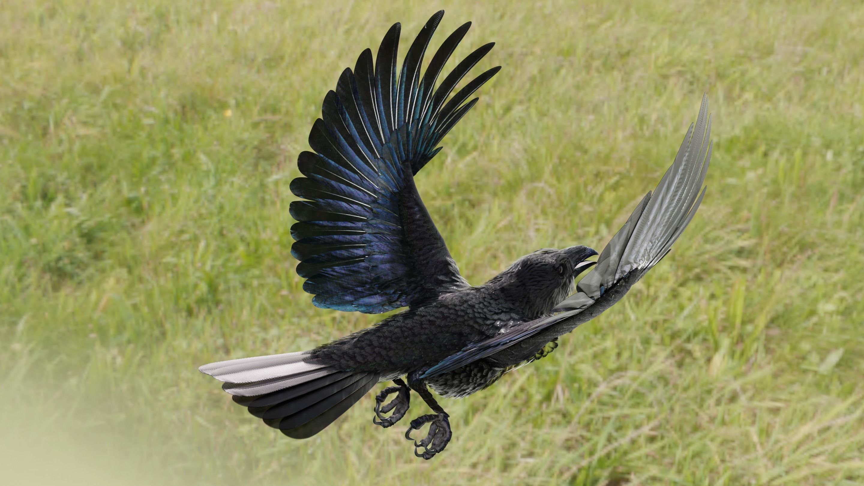 RAVEN - Blender 3D model_45