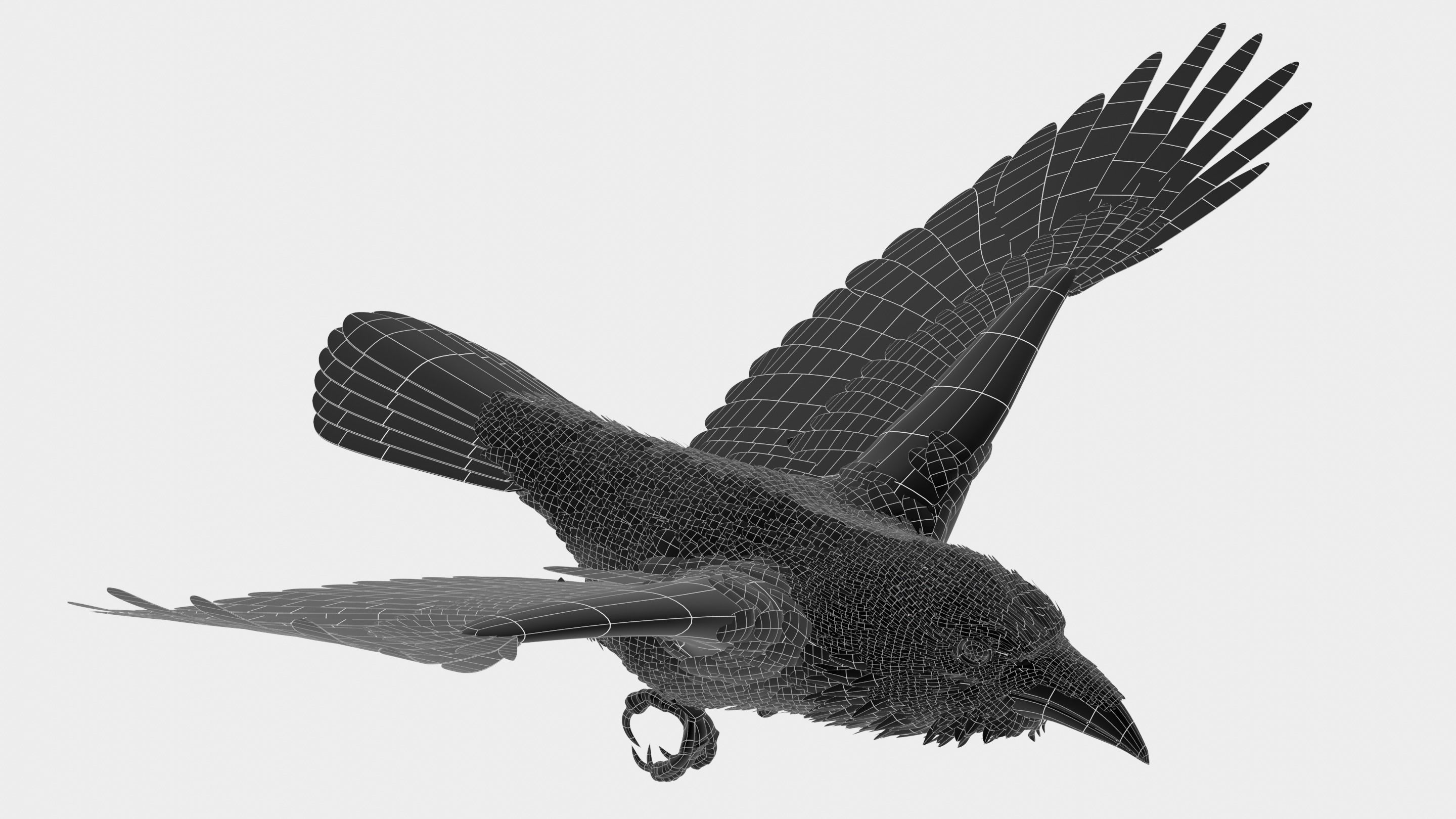 RAVEN - Blender 3D model_57