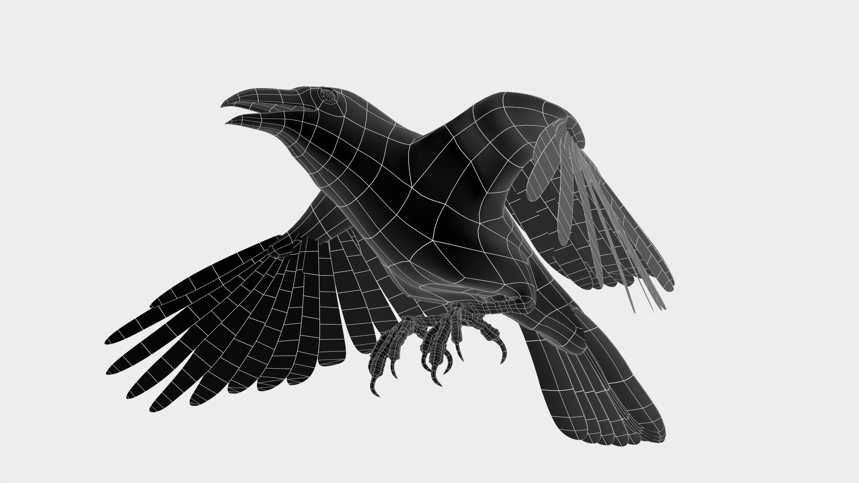 RAVEN - Blender 3D model_19