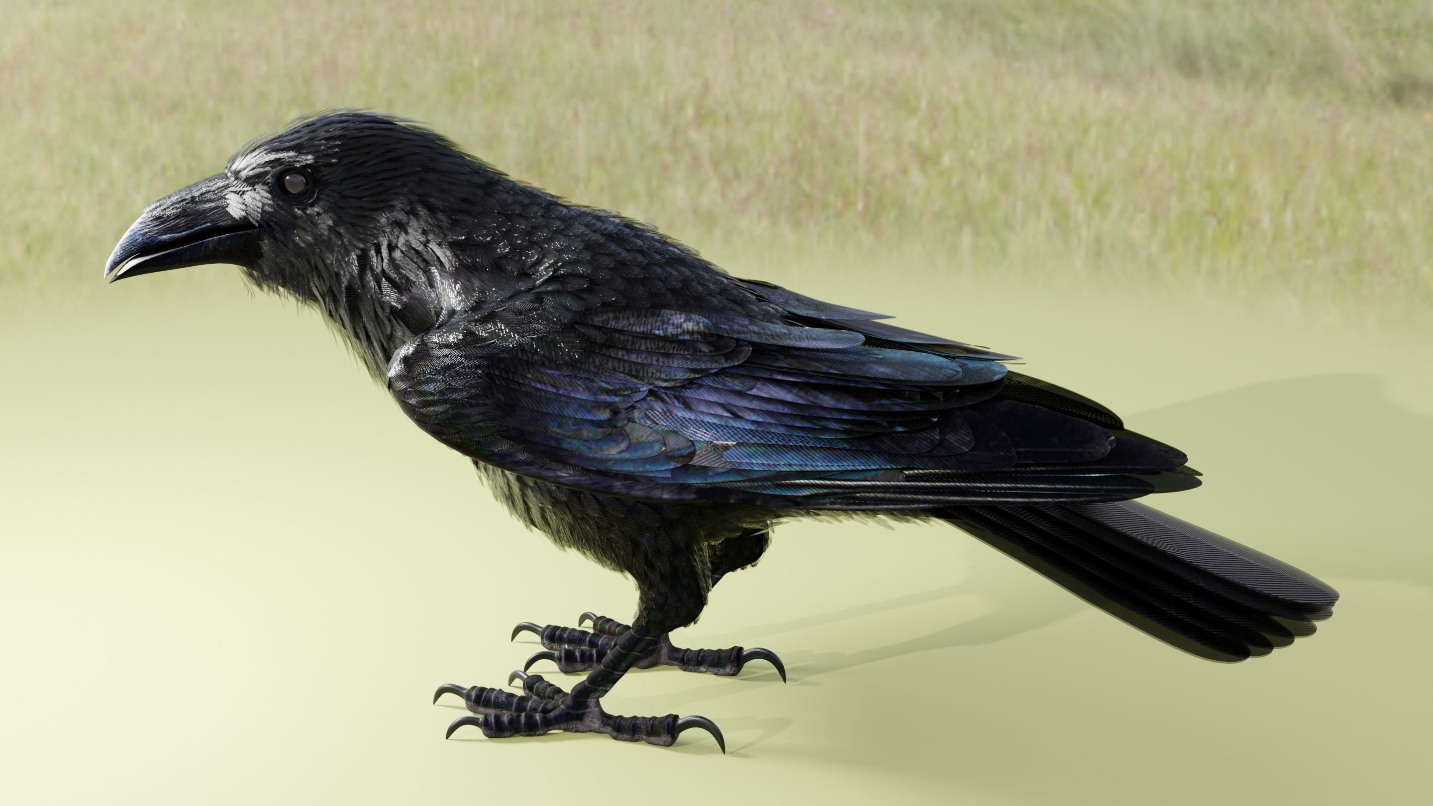 RAVEN - Blender 3D model_26