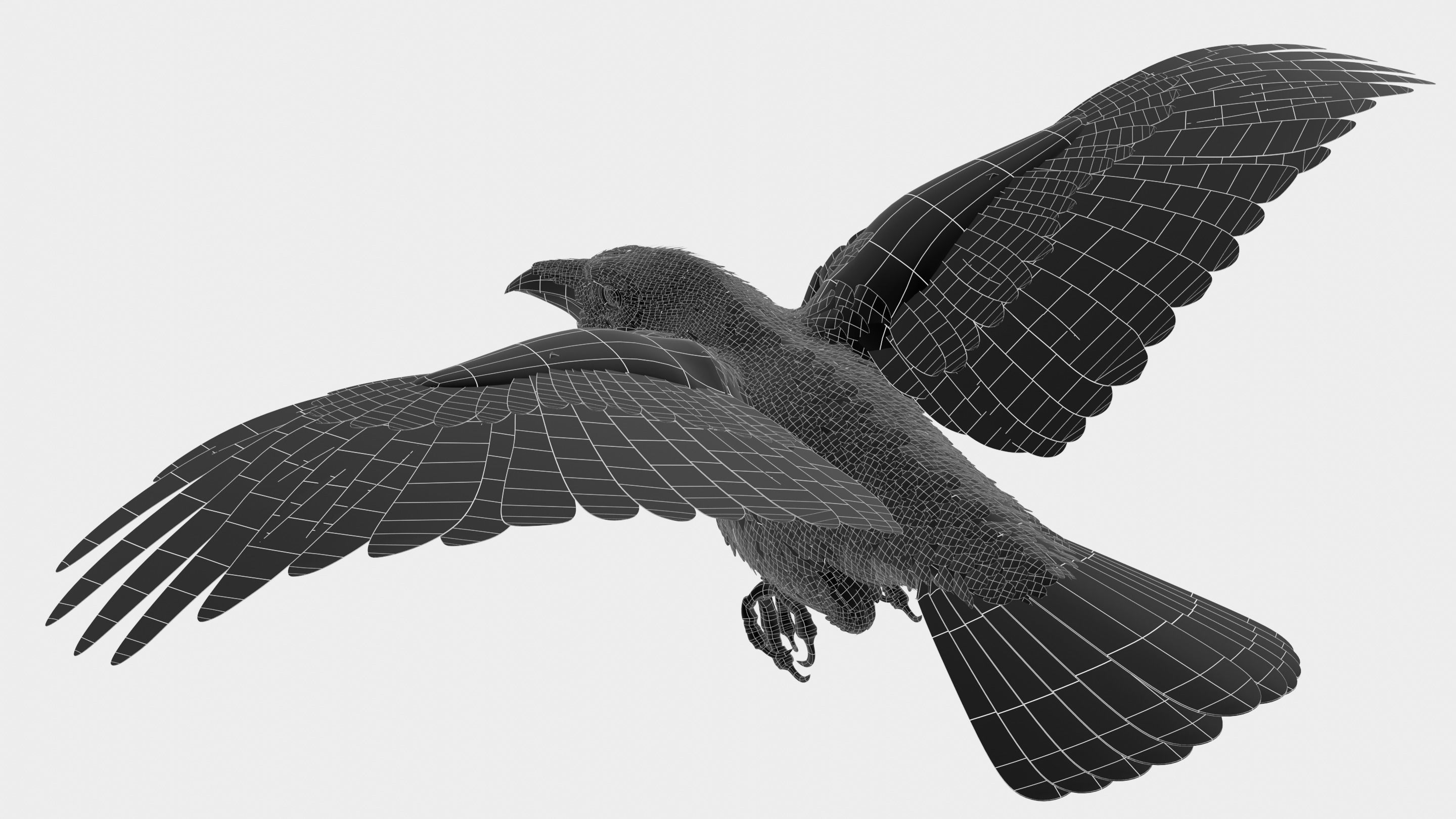 RAVEN - Blender 3D model_47
