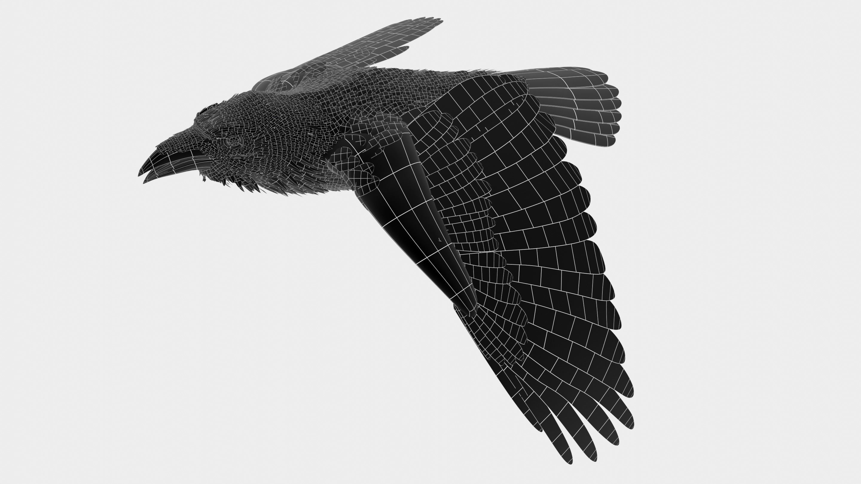 RAVEN - Blender 3D model_49