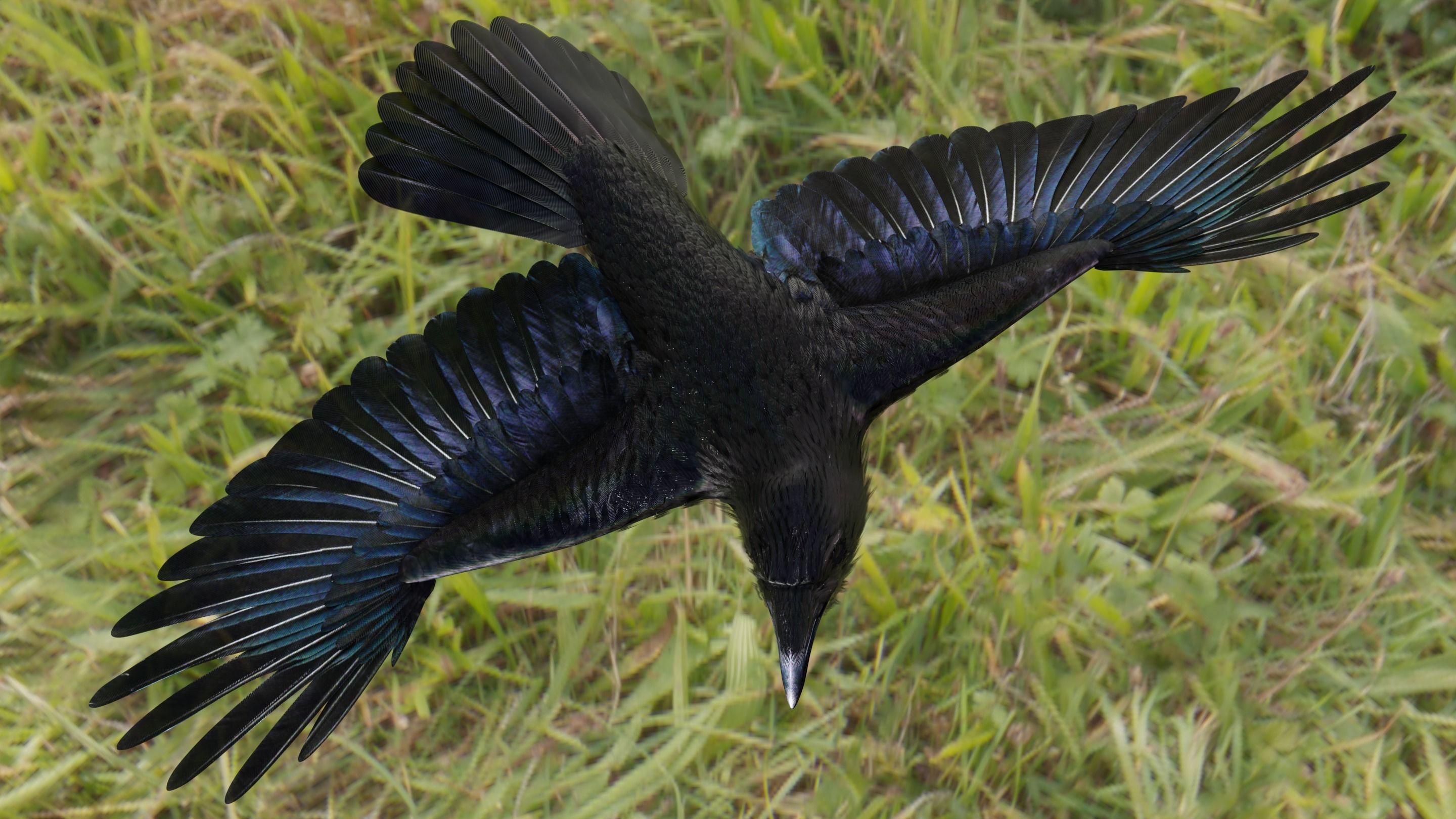 RAVEN - Blender 3D model_54