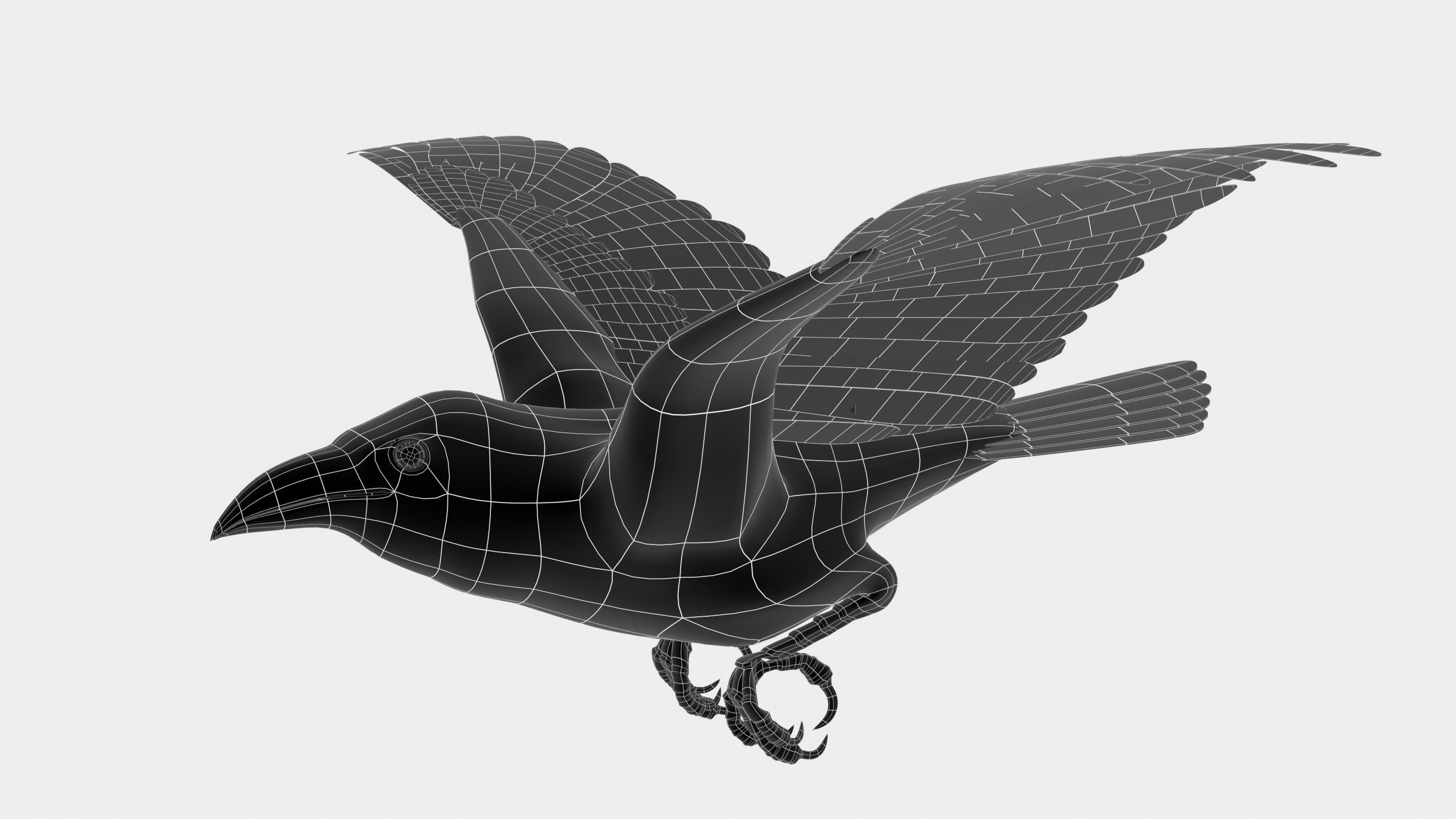 RAVEN - Blender 3D model_33
