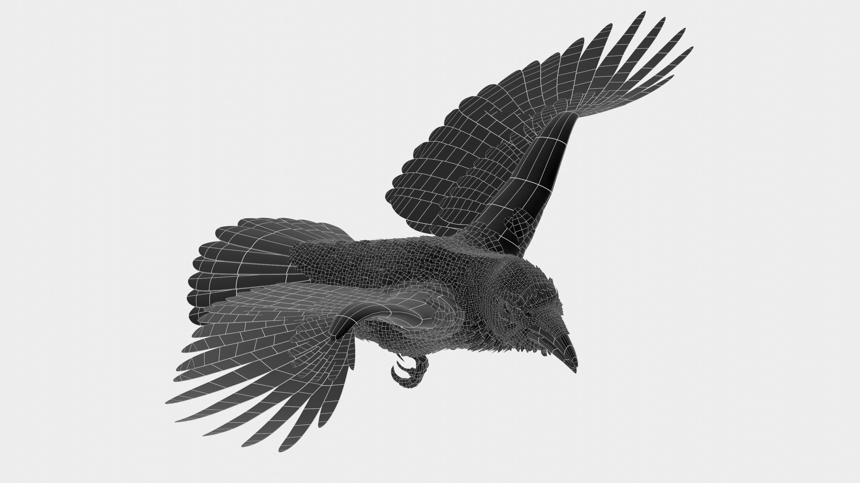 RAVEN - Blender 3D model_51