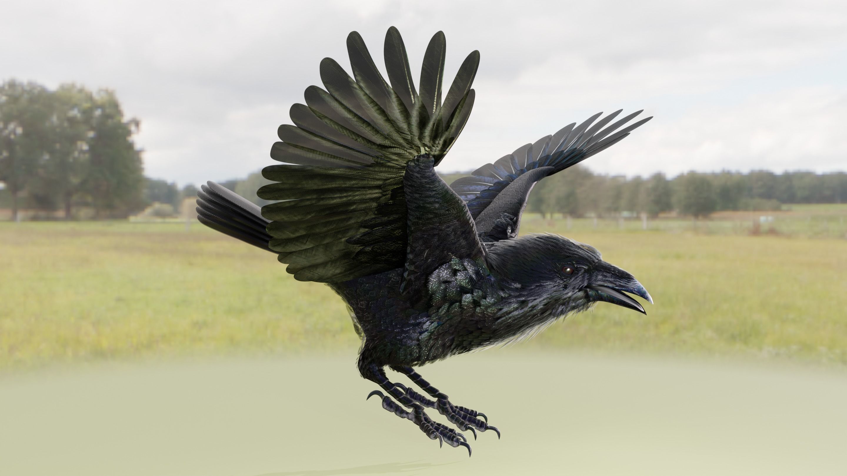 RAVEN - Blender 3D model_20