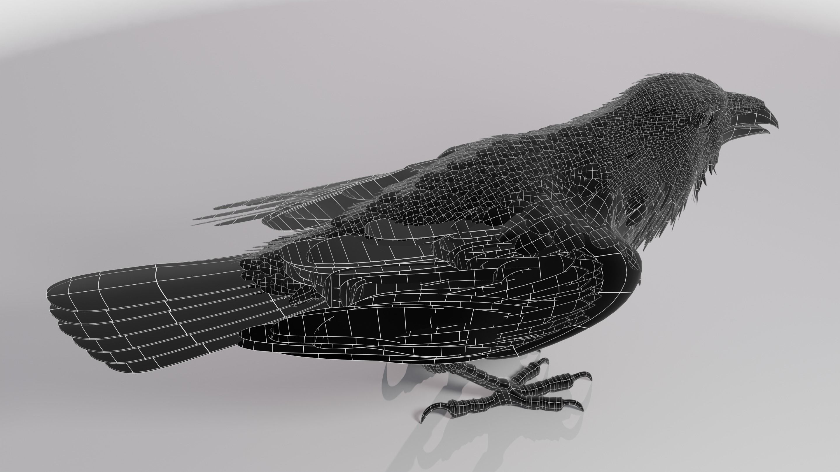 RAVEN - Blender 3D model_35
