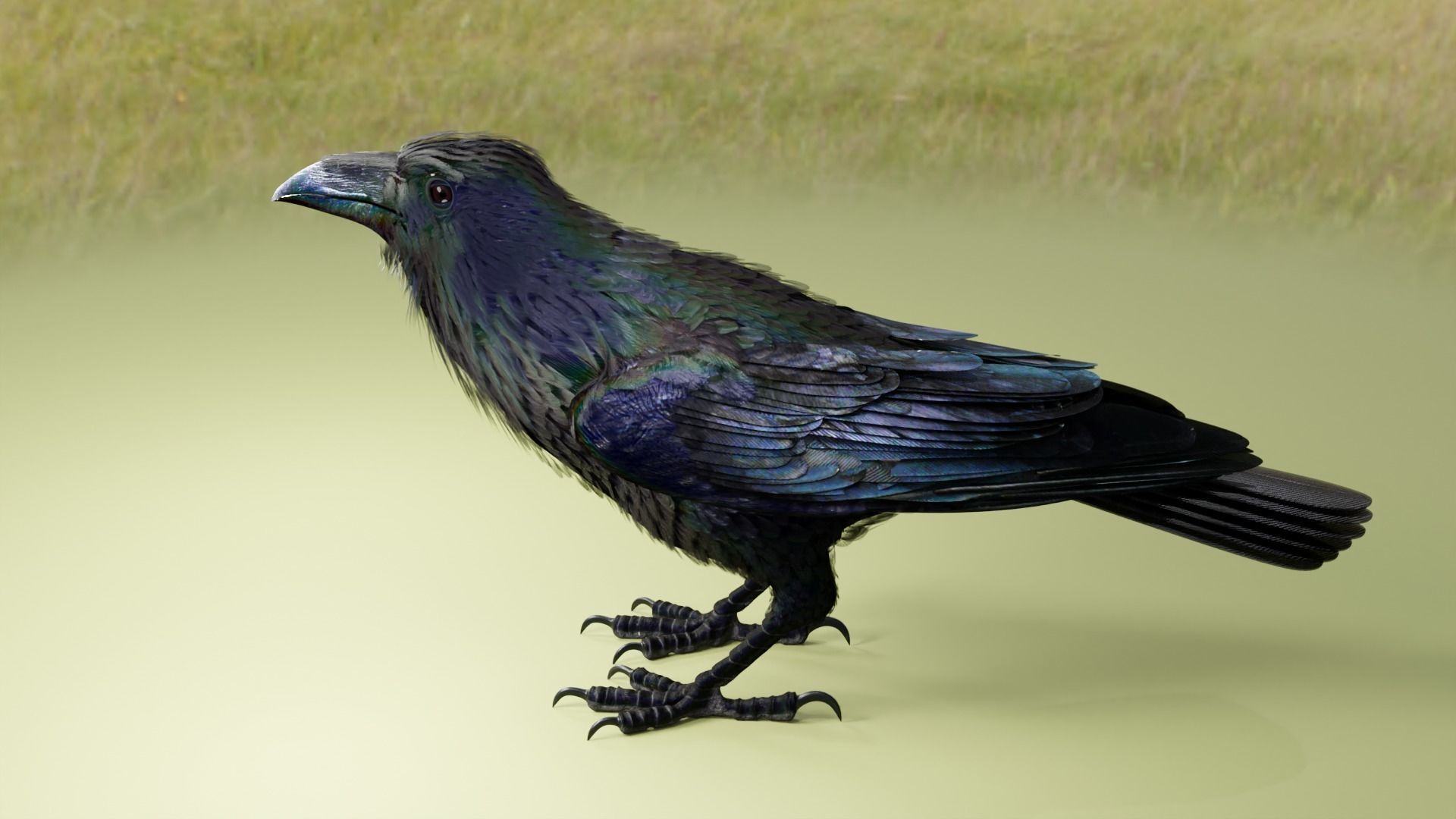 RAVEN - Blender 3D model_16