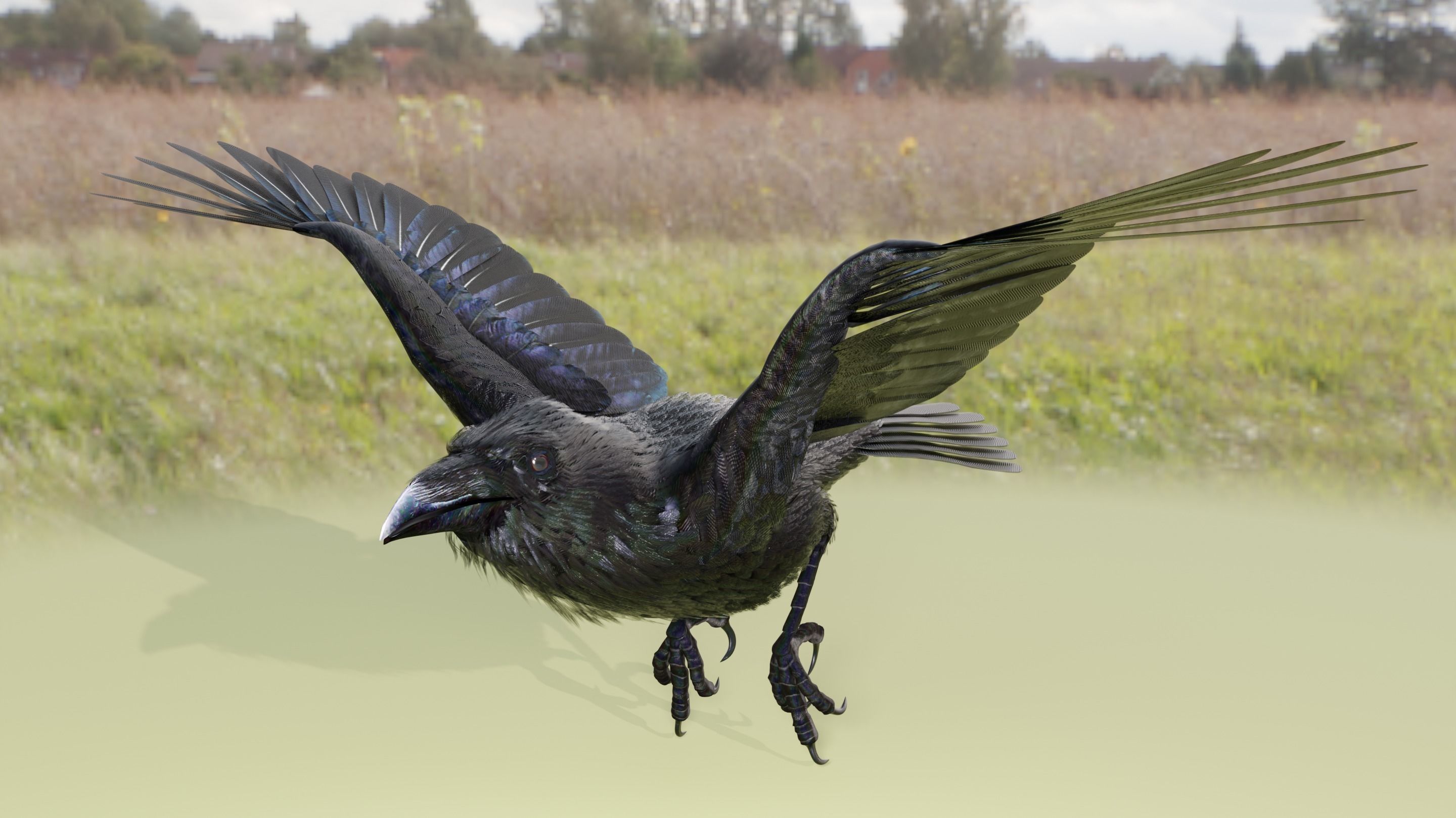 RAVEN - Blender 3D model_39