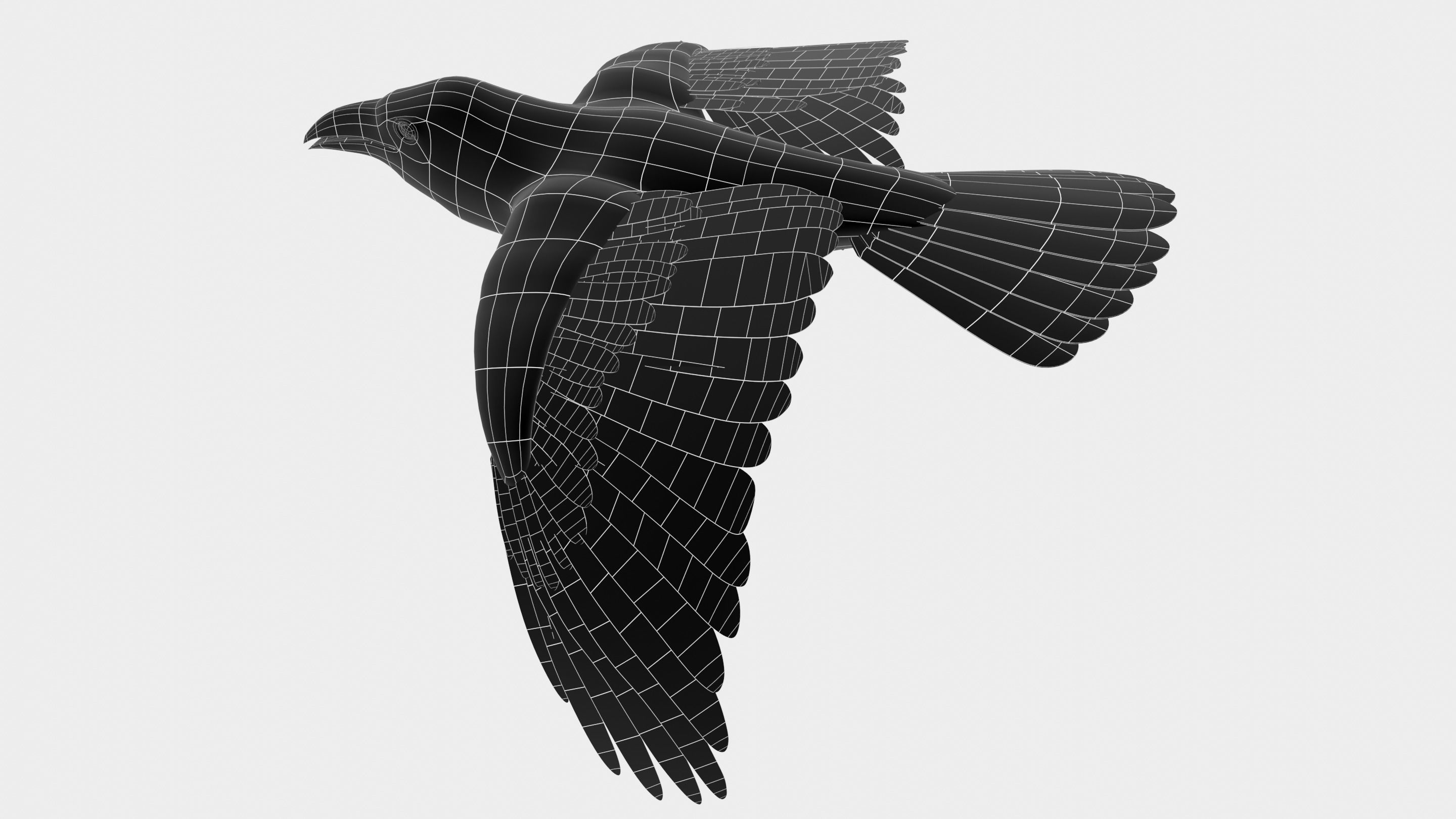 RAVEN - Blender 3D model_38