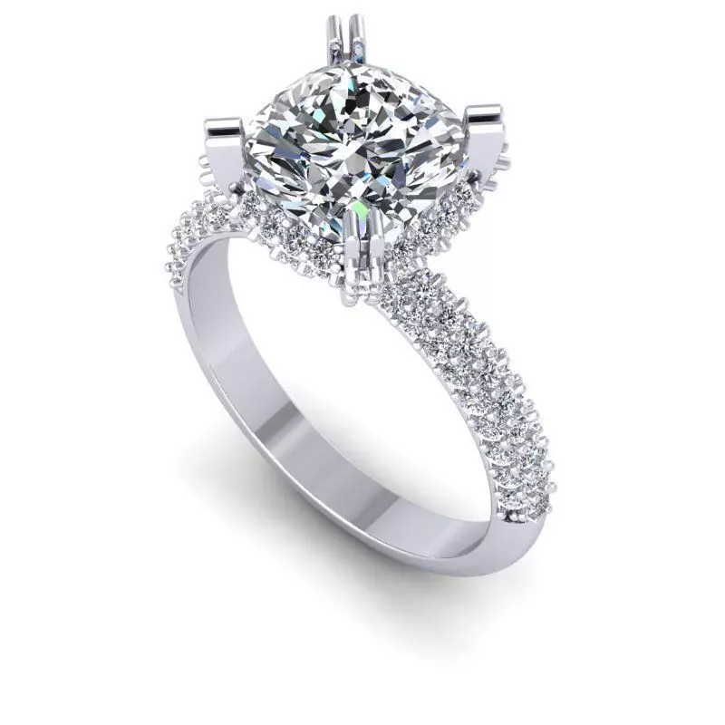 3D CAD NJ -818-Ring 3D print model_0