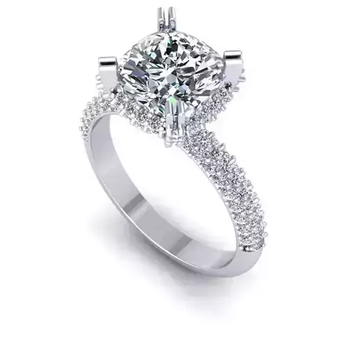 3D CAD NJ -818-Ring 3D print model