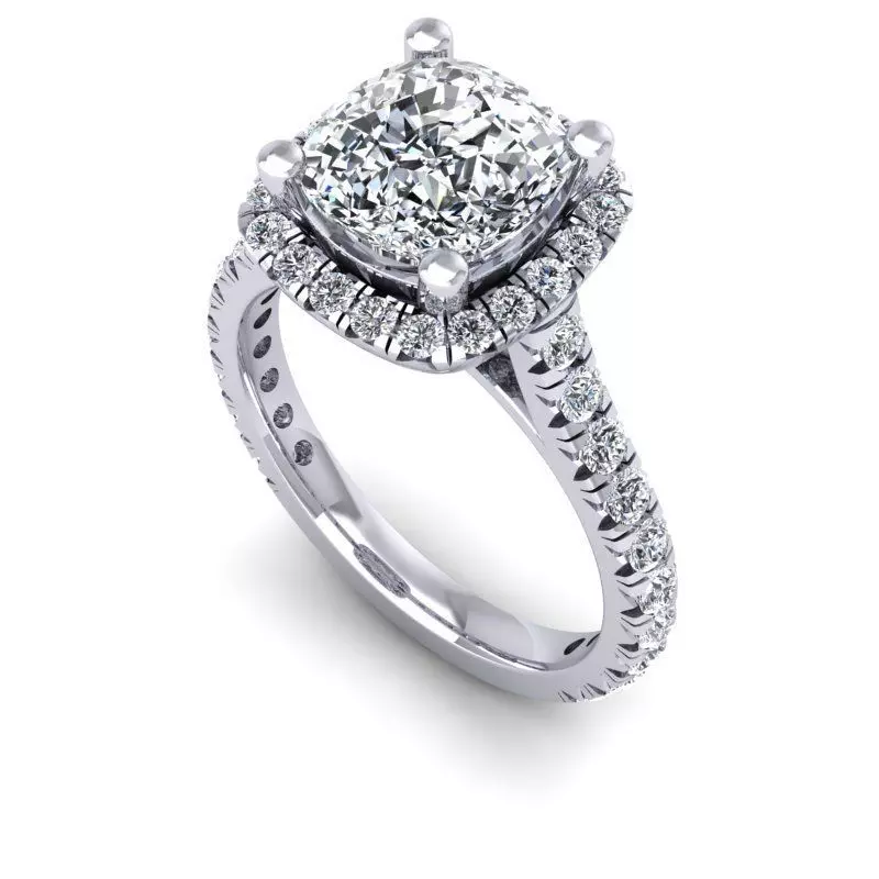 3D CAD NJ -807-Ring 3D print model