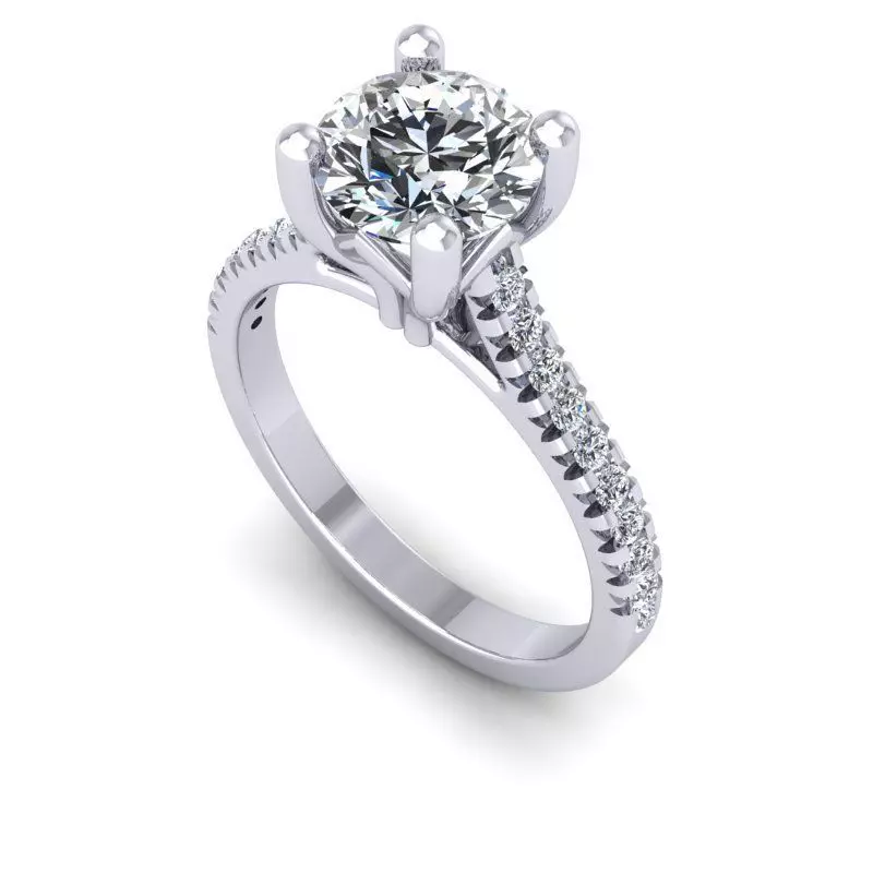 3D CAD NJ -758-RIng 3D print model