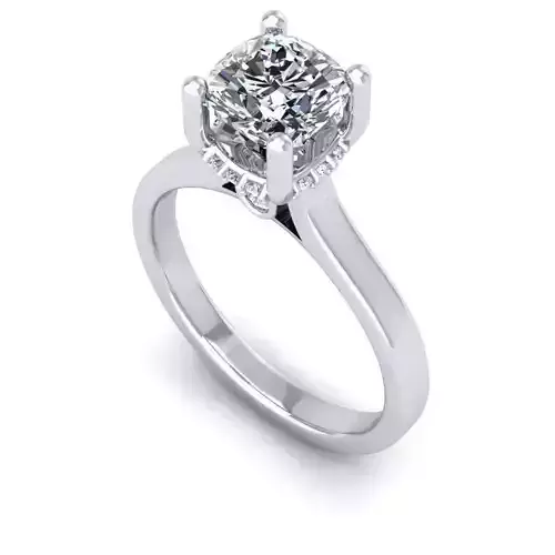 3D CAD NJ -717-Ring 3D print model