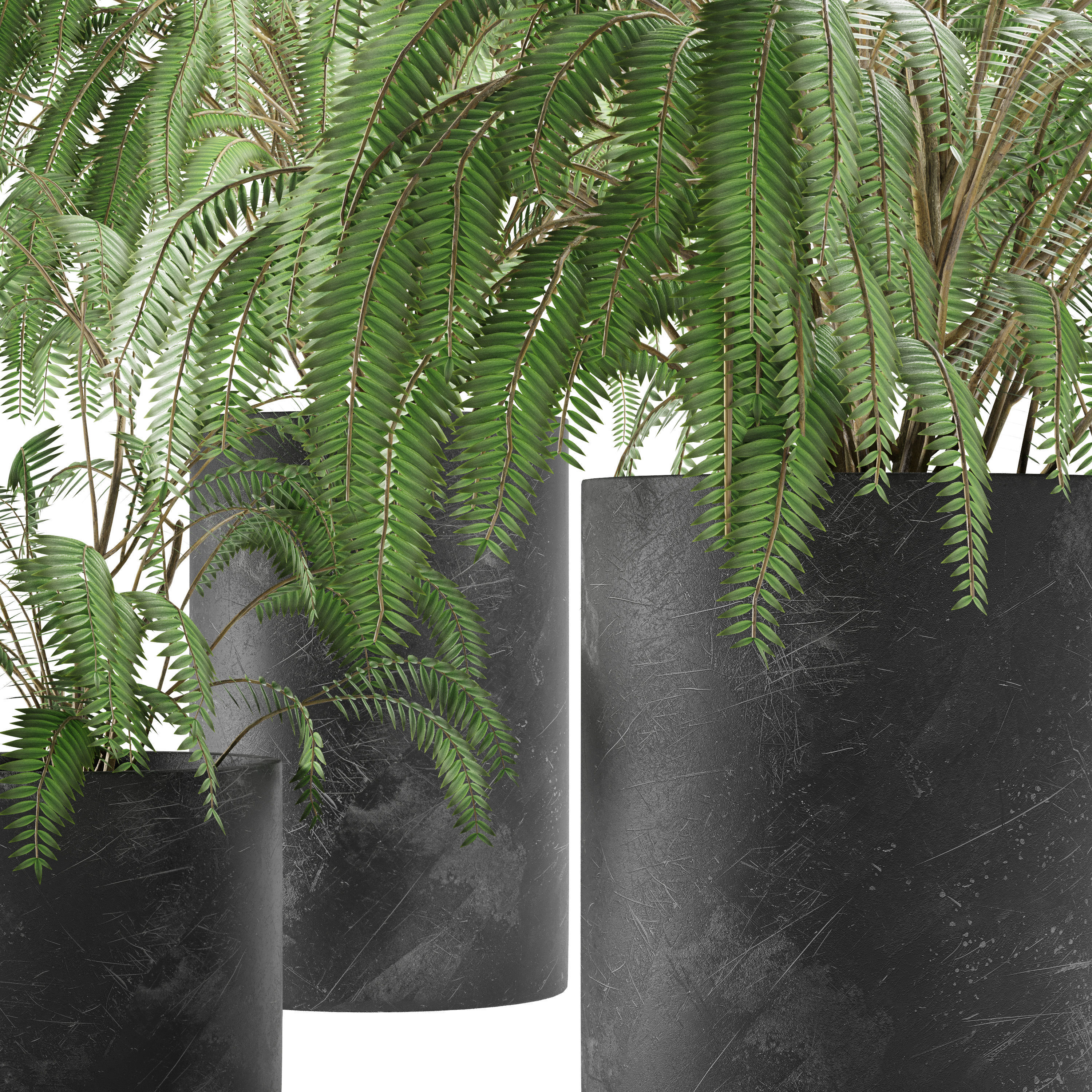 plant collection set 04 Low-poly 3D model_1