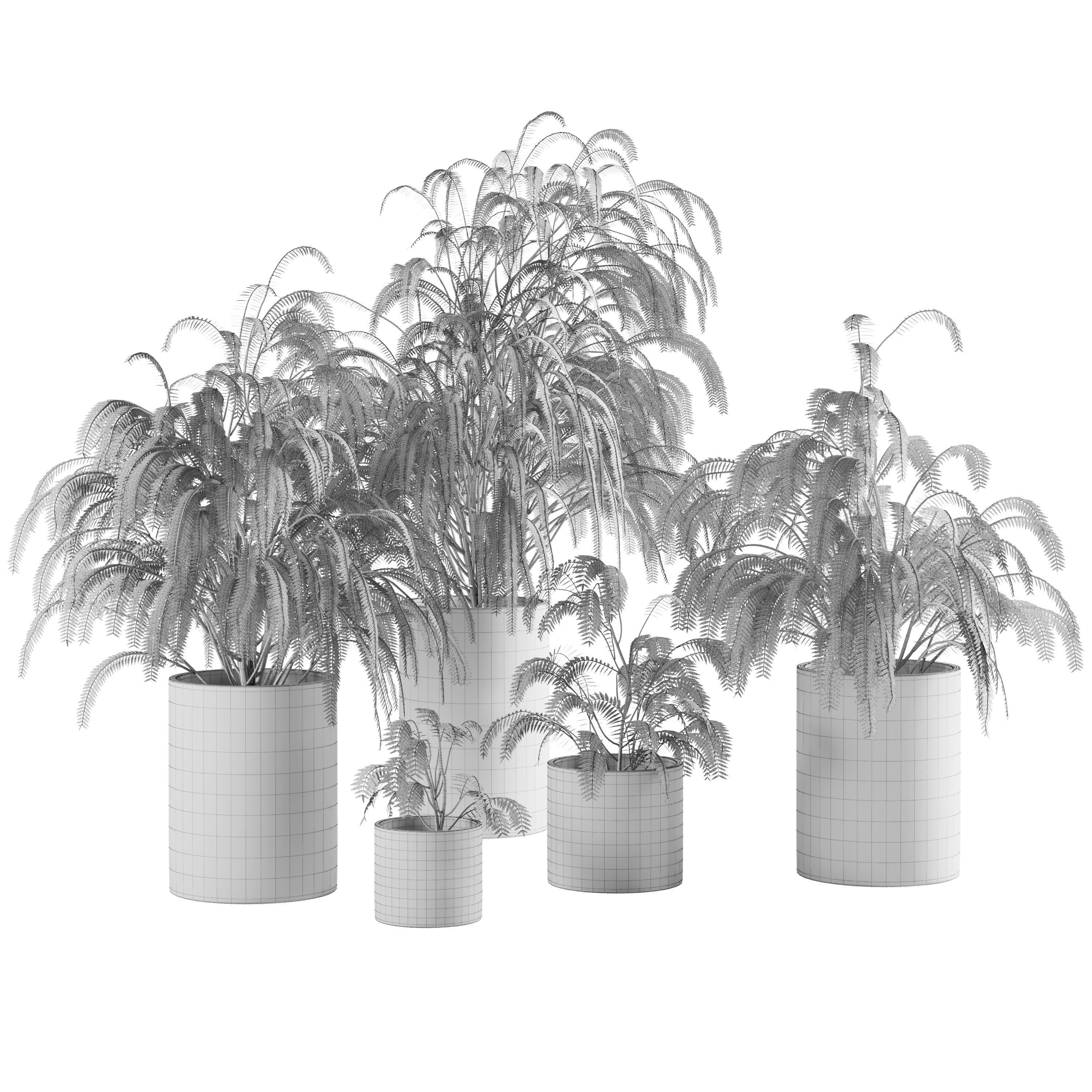 plant collection set 04 Low-poly 3D model_2
