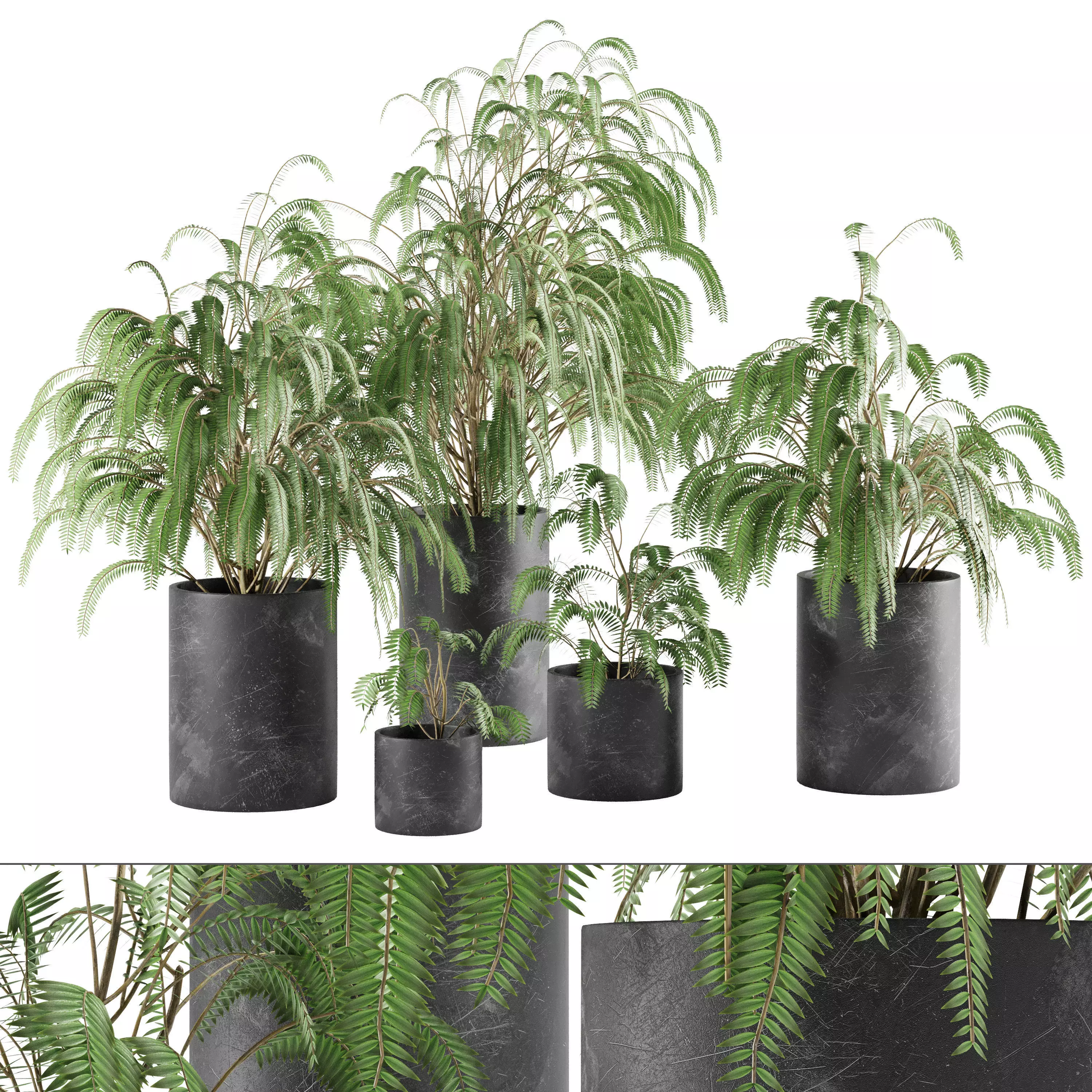 plant collection set 04 Low-poly 3D model_0