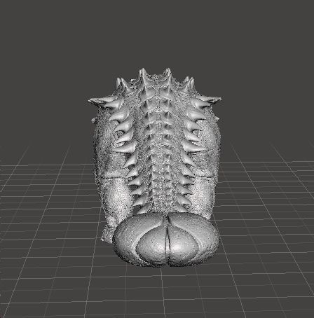 JP ANKYLOSAURUS REALISTIC FIGURE MINIATURE MODEL DINOSAUR ANIMAL 3D print model_3