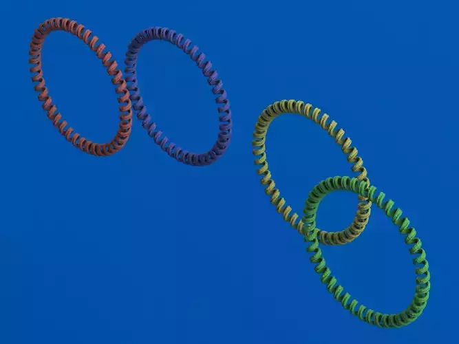 Elastic Coil Plastic Wristbands 3D print model