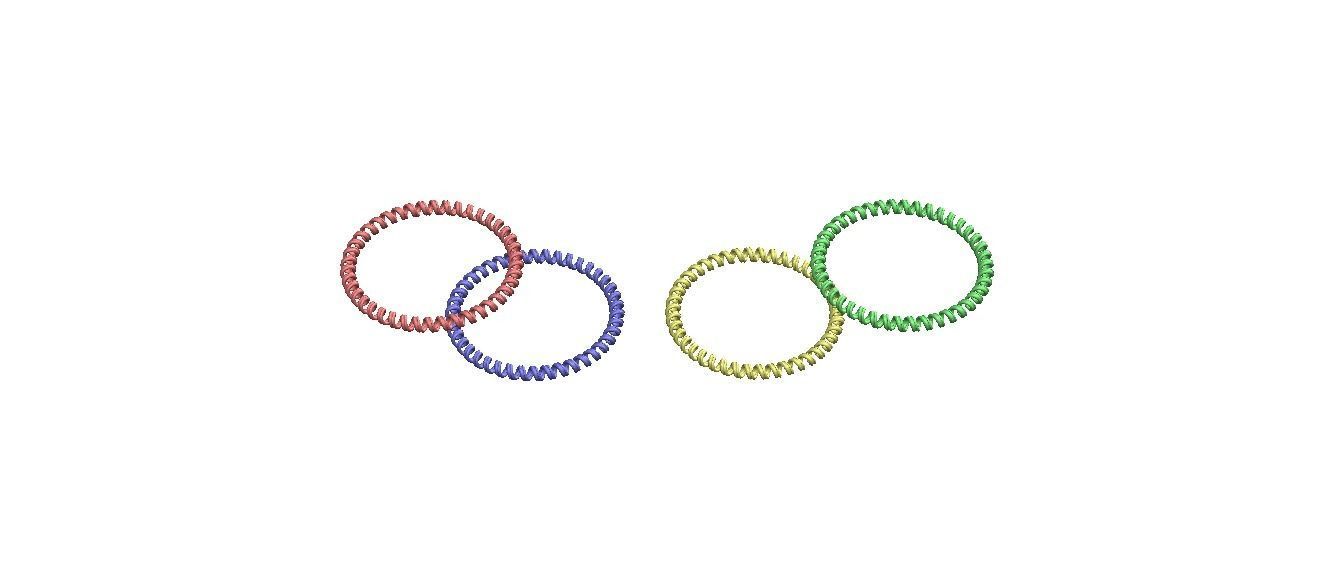 Elastic Coil Plastic Wristbands 3D print model_29