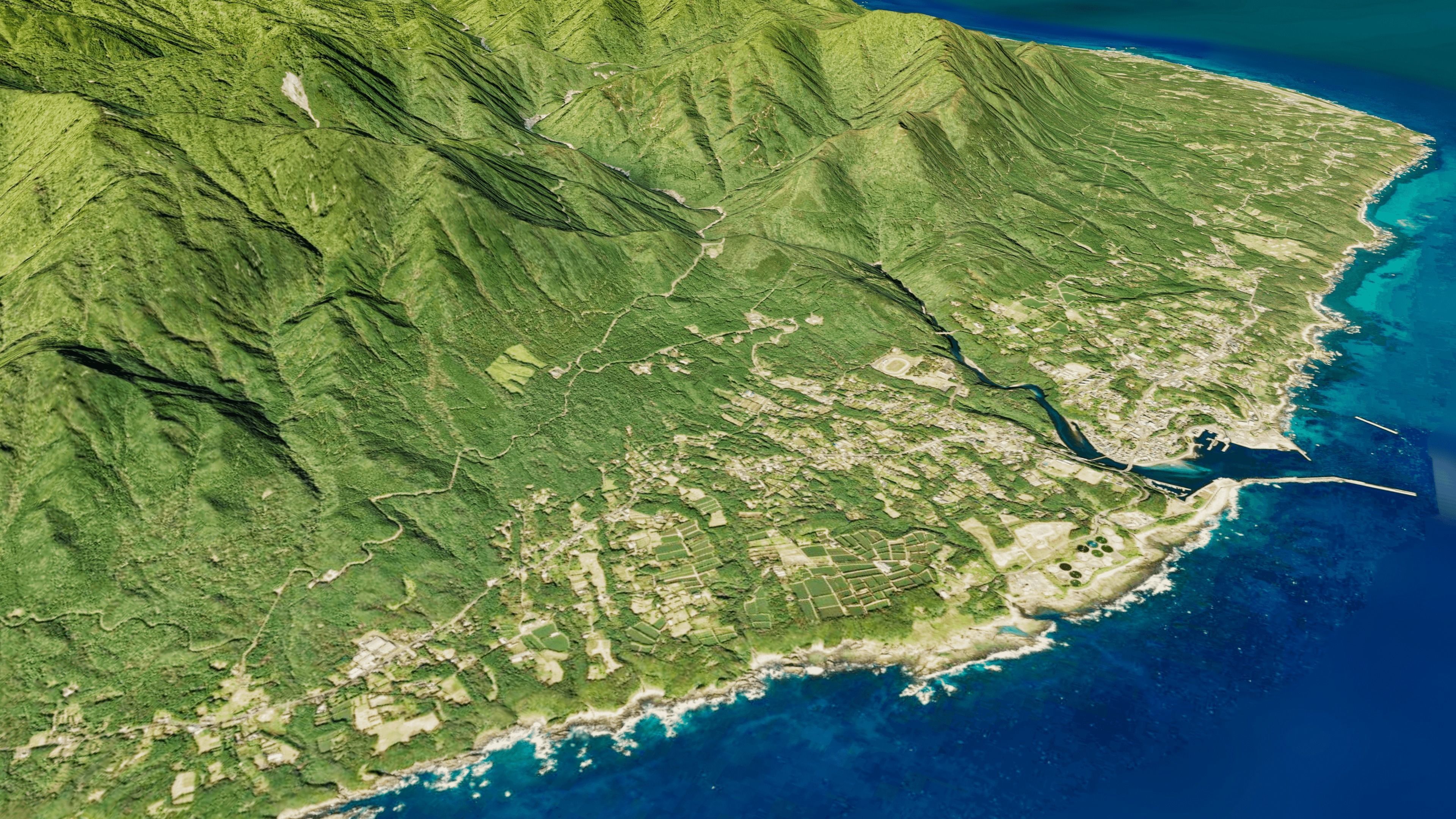 Yakushima full 3d model terrain Low-poly 3D model_2