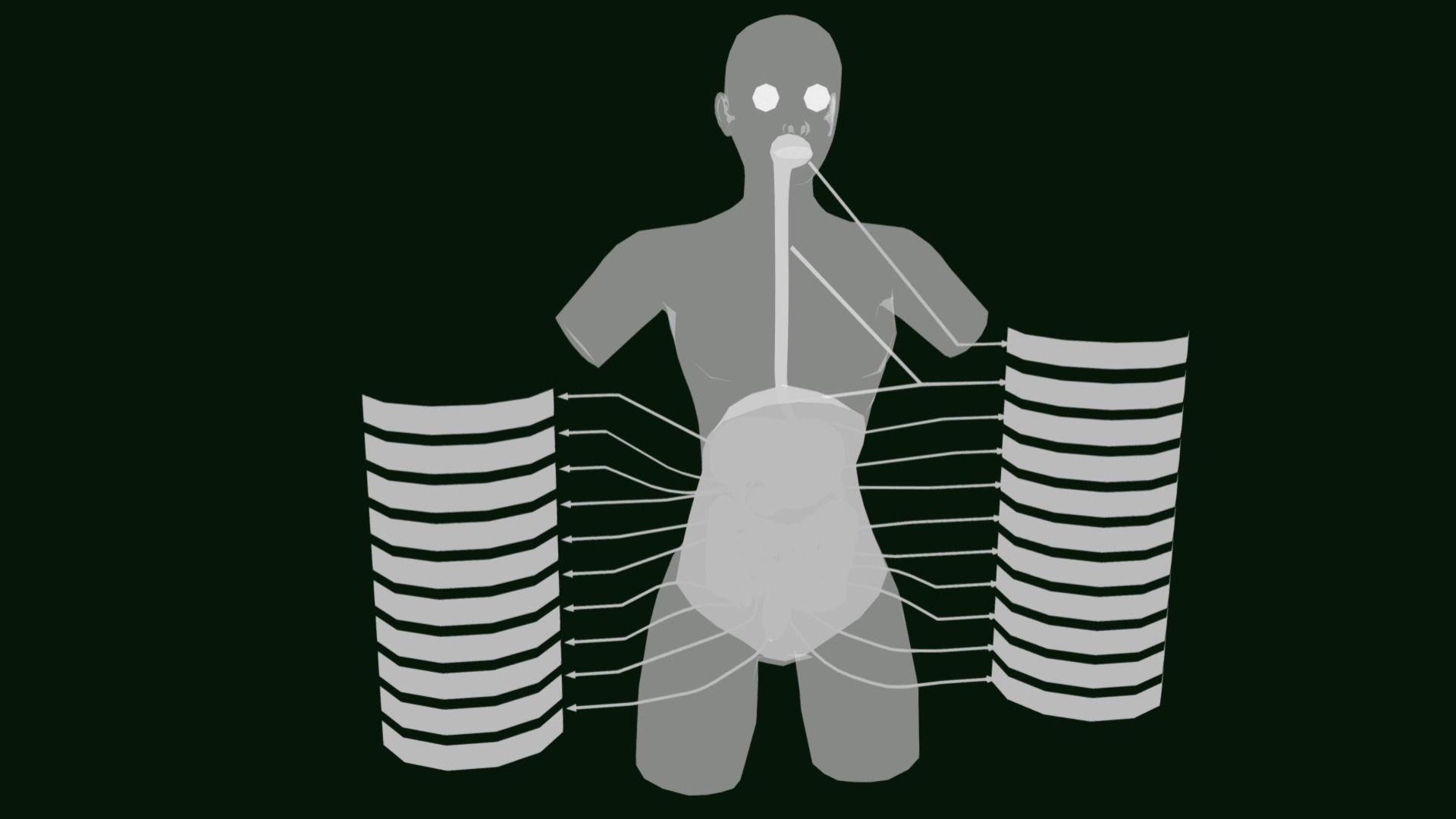 Human Digestive System - Female Digestive System Low-poly 3D model_6