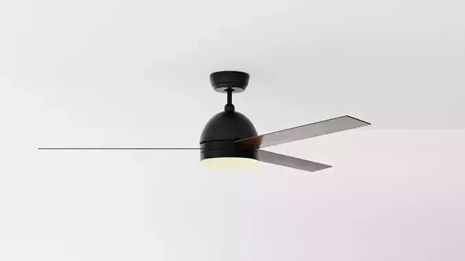 Ceiling Fan