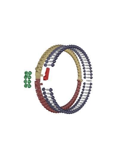 CLASH  BRACELET SMALL MODEL 3D print model_8