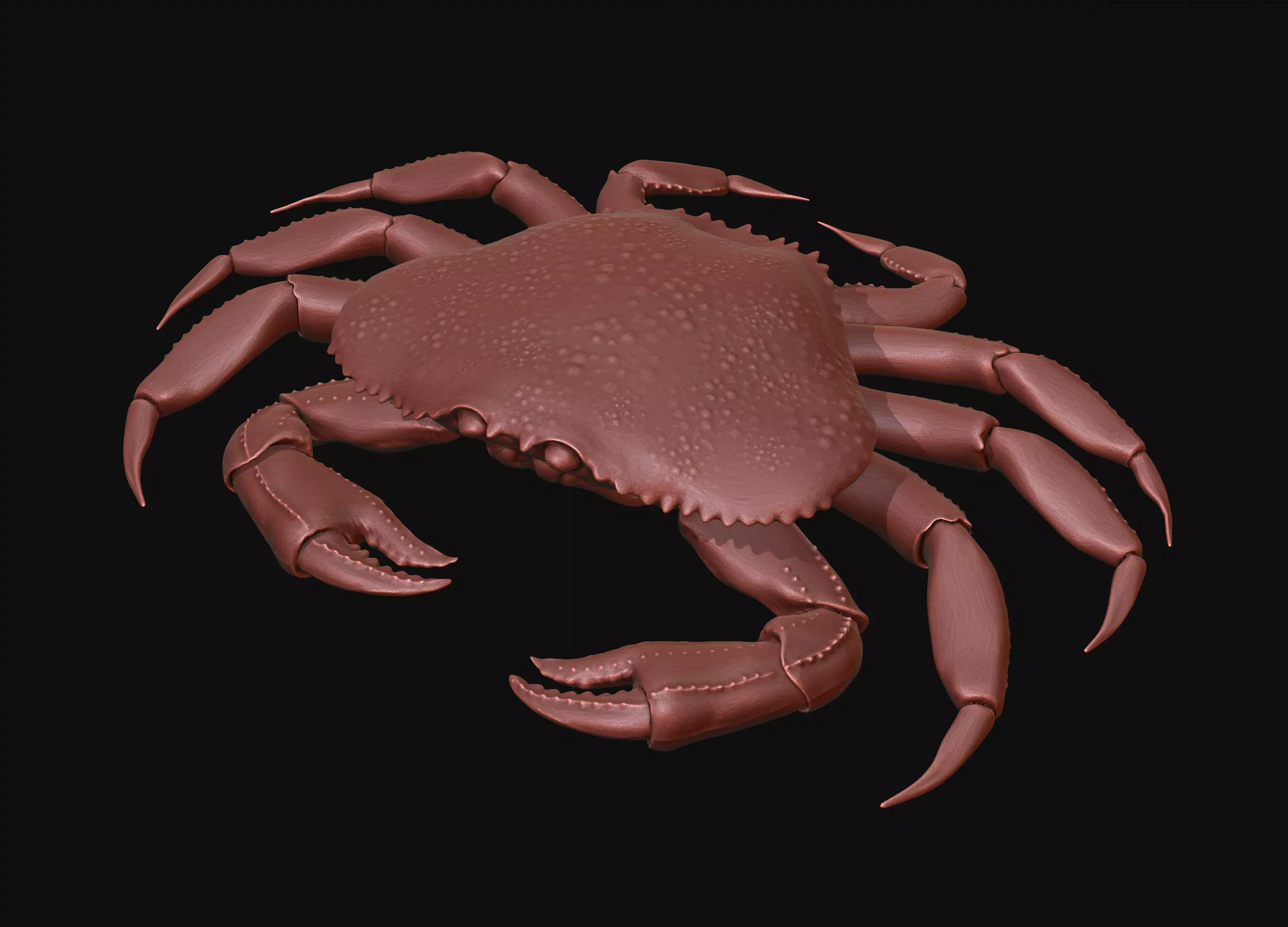 Crab sea 3D print model