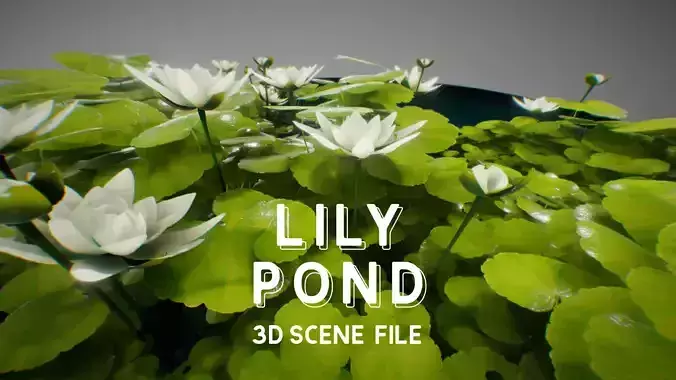 LILY POND 