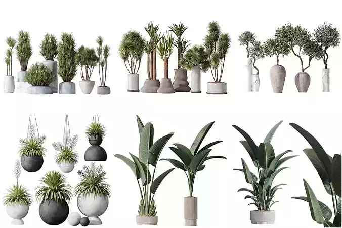  6 Different SETS of Plant indoor SET VOL112