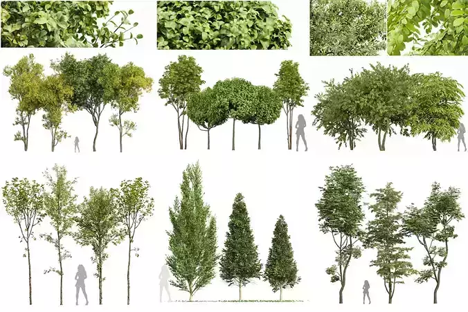  6 Different SETS of Tree SET VOL113 3D Model Collection