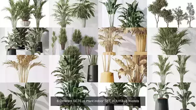  6 Different SETS of Plant indoor SET VOL114