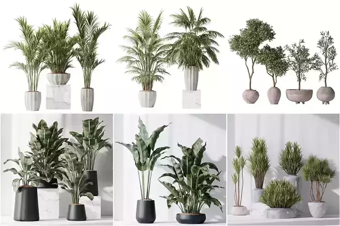 6 Different SETS of Plant indoor SET VOL114 3D Model Collection