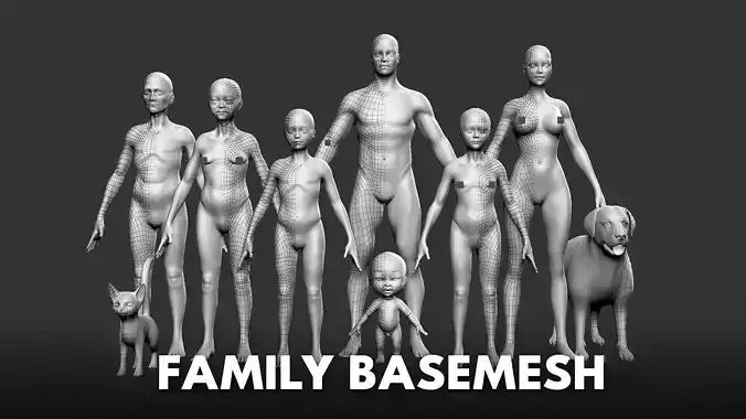 Family Basemesh  3D Model Collection