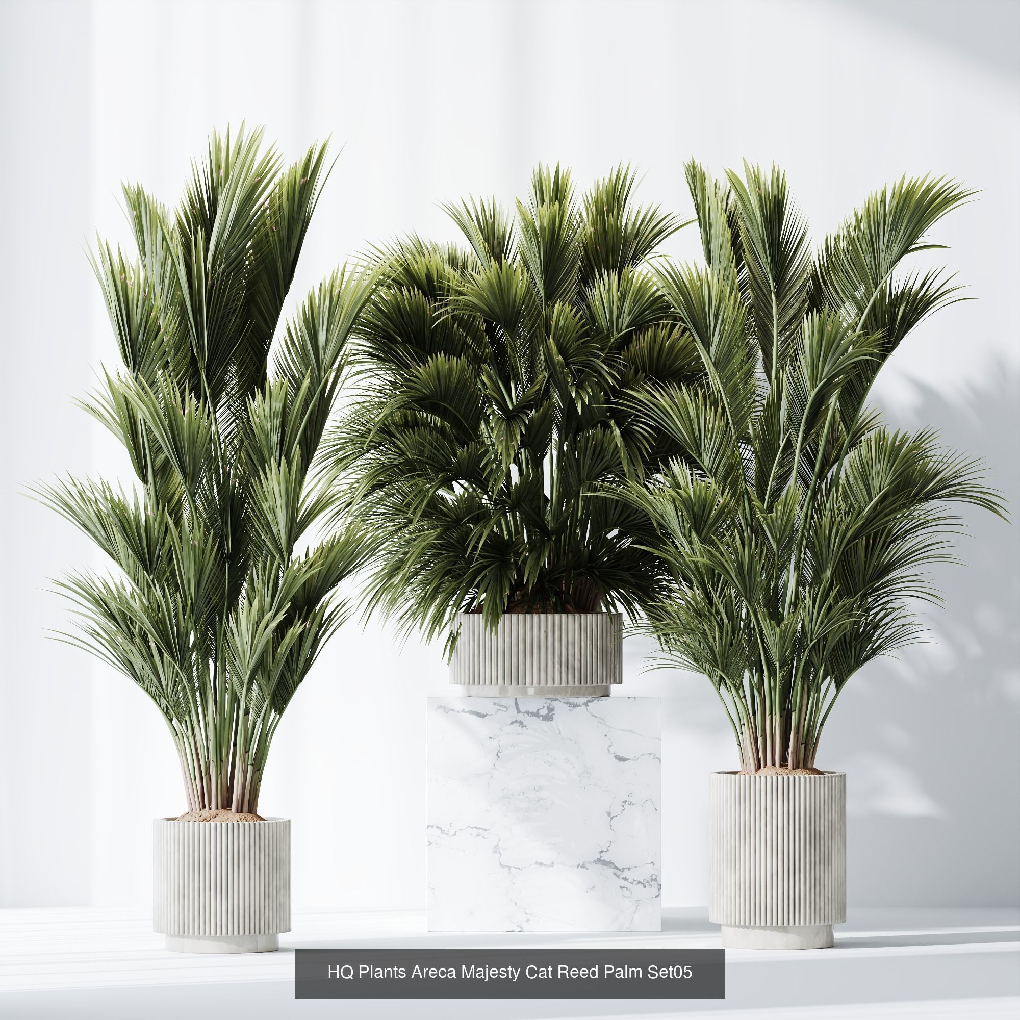 6 Different SETS of Plant indoor SET VOL115 3D Model Collection_4
