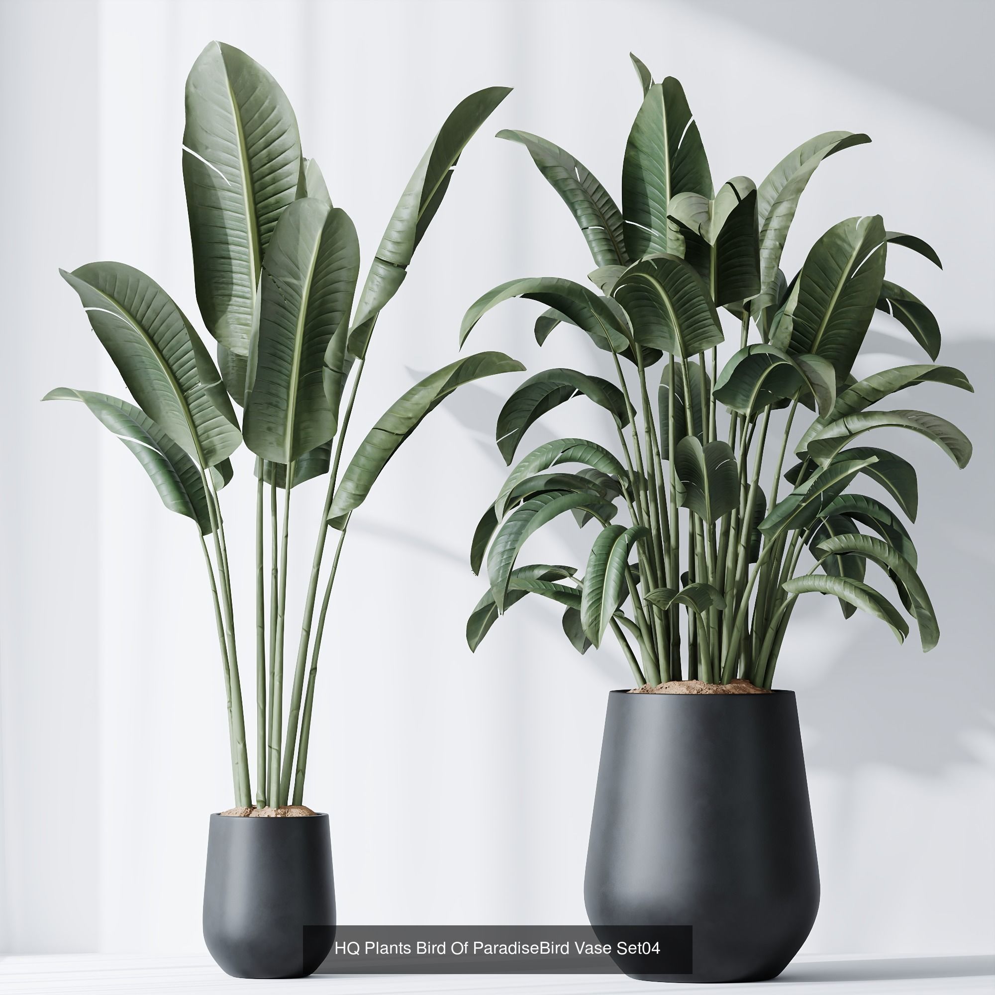 6 Different SETS of Plant indoor SET VOL115 3D Model Collection_6