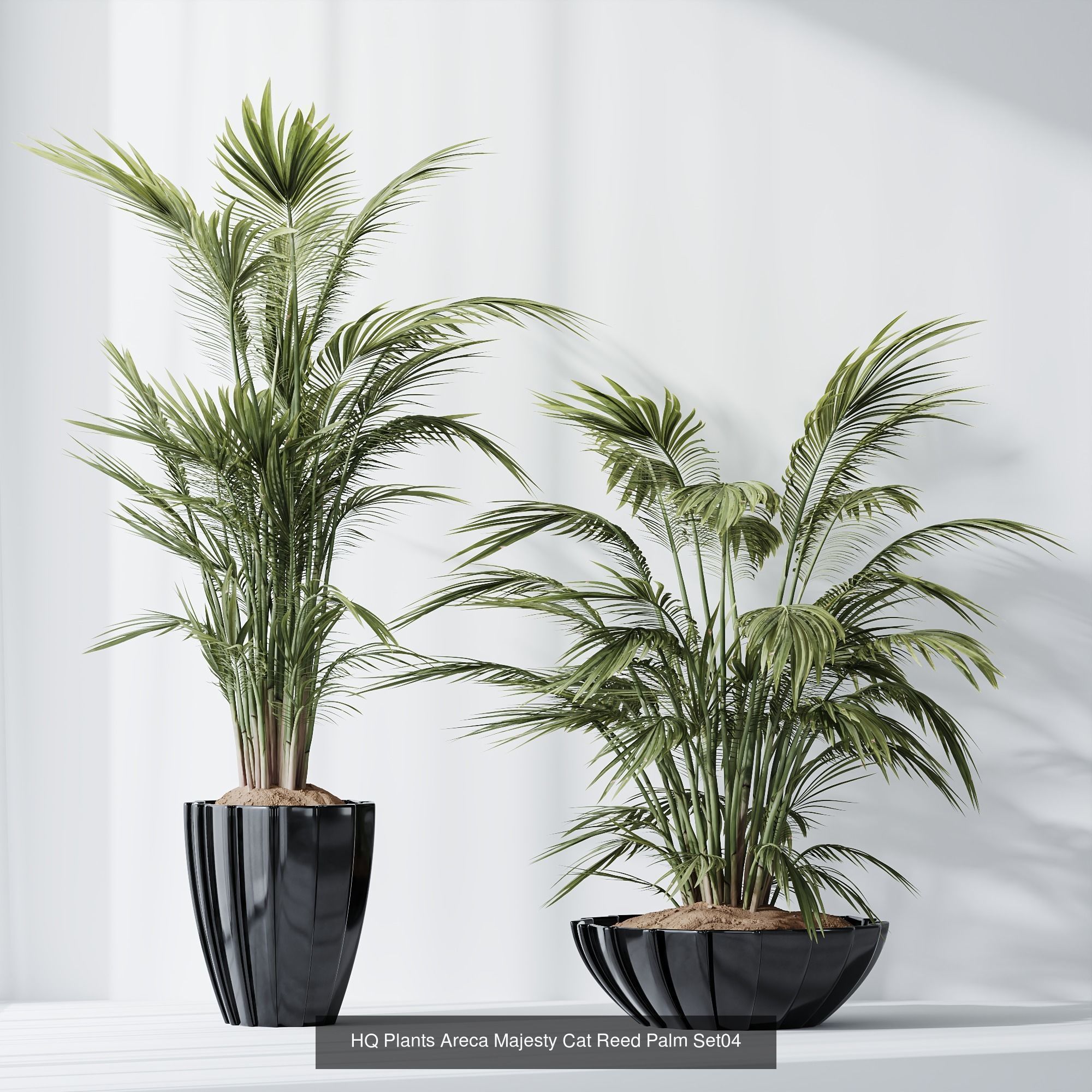 6 Different SETS of Plant indoor SET VOL115 3D Model Collection_3