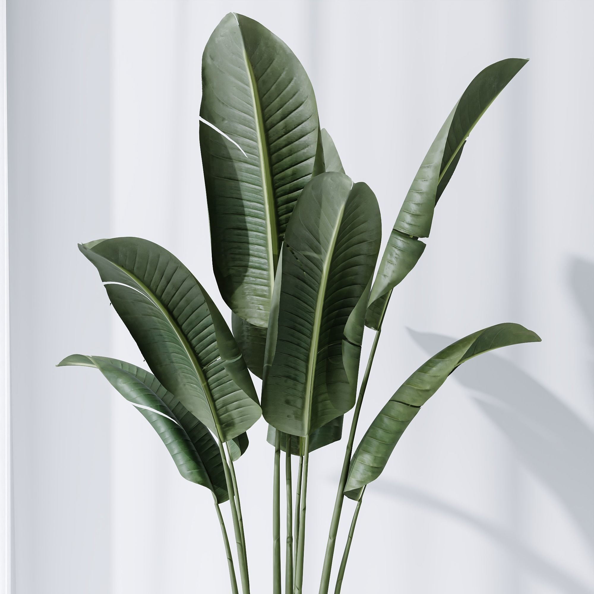 6 Different SETS of Plant indoor SET VOL115 3D Model Collection_12