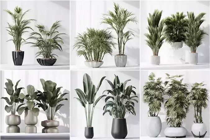  6 Different SETS of Plant indoor SET VOL115