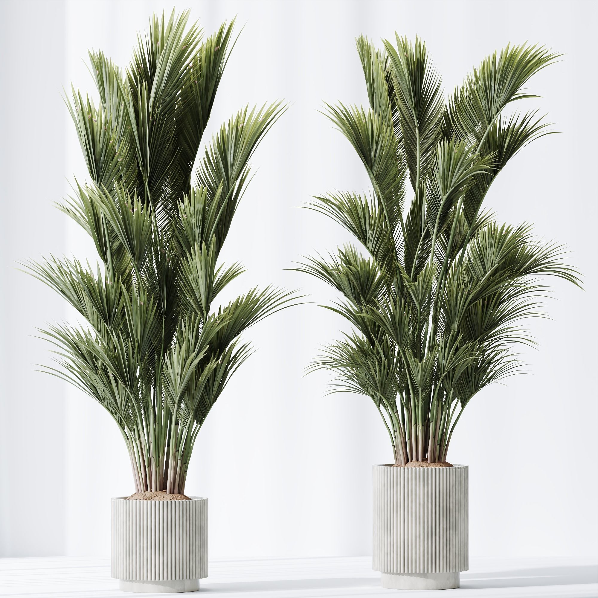 6 Different SETS of Plant indoor SET VOL115 3D Model Collection_15