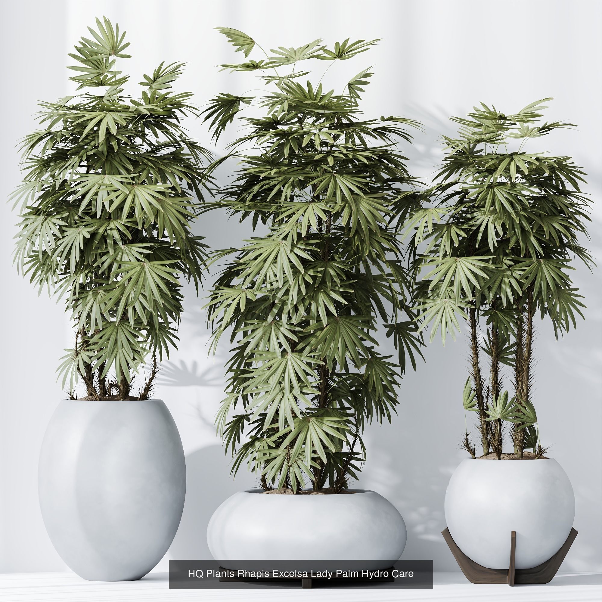 6 Different SETS of Plant indoor SET VOL115 3D Model Collection_5