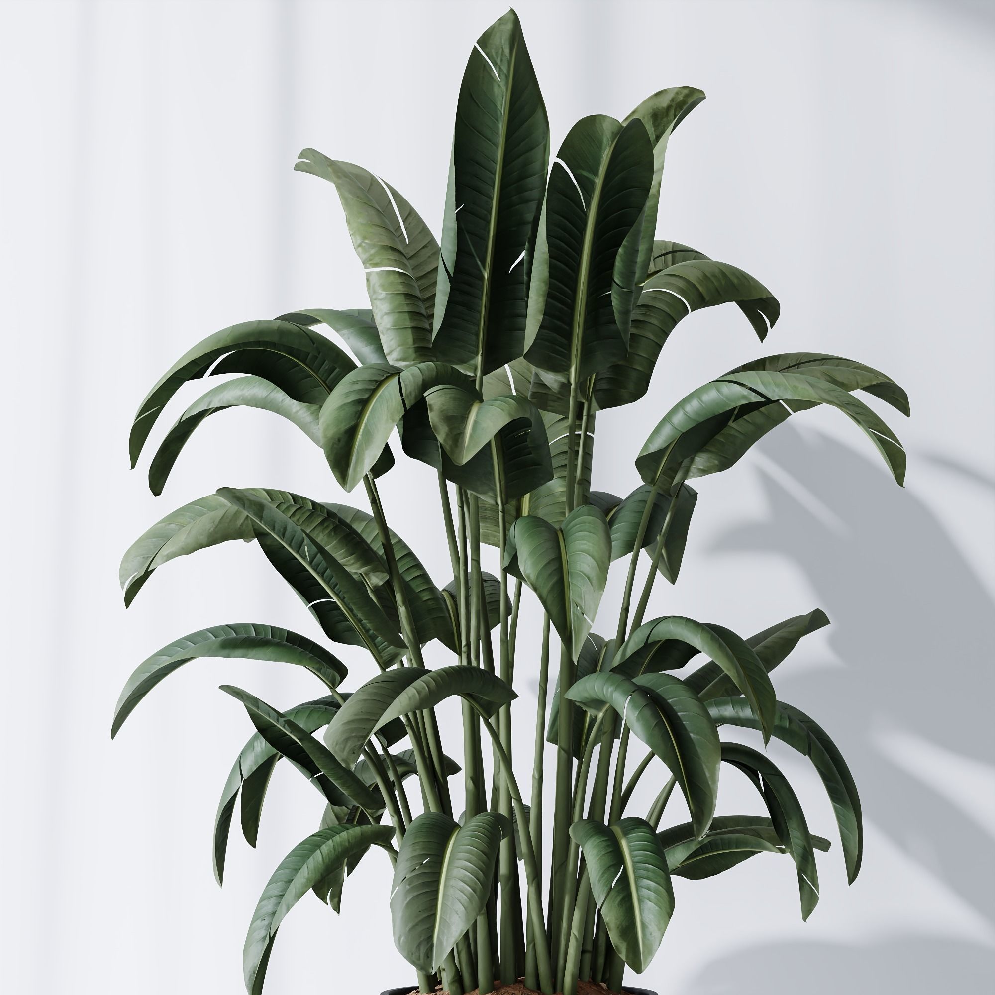 6 Different SETS of Plant indoor SET VOL115 3D Model Collection_13