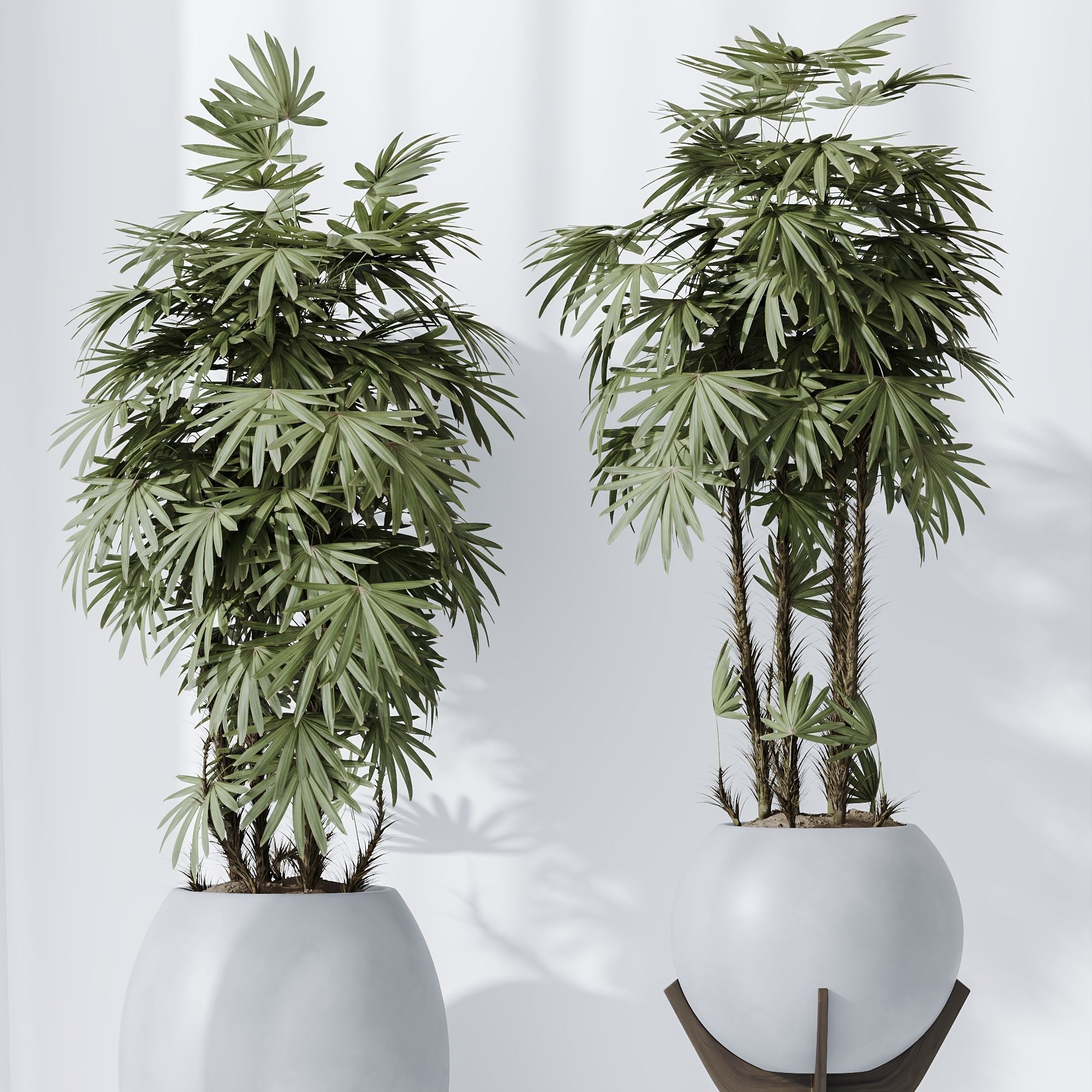 6 Different SETS of Plant indoor SET VOL115 3D Model Collection_19