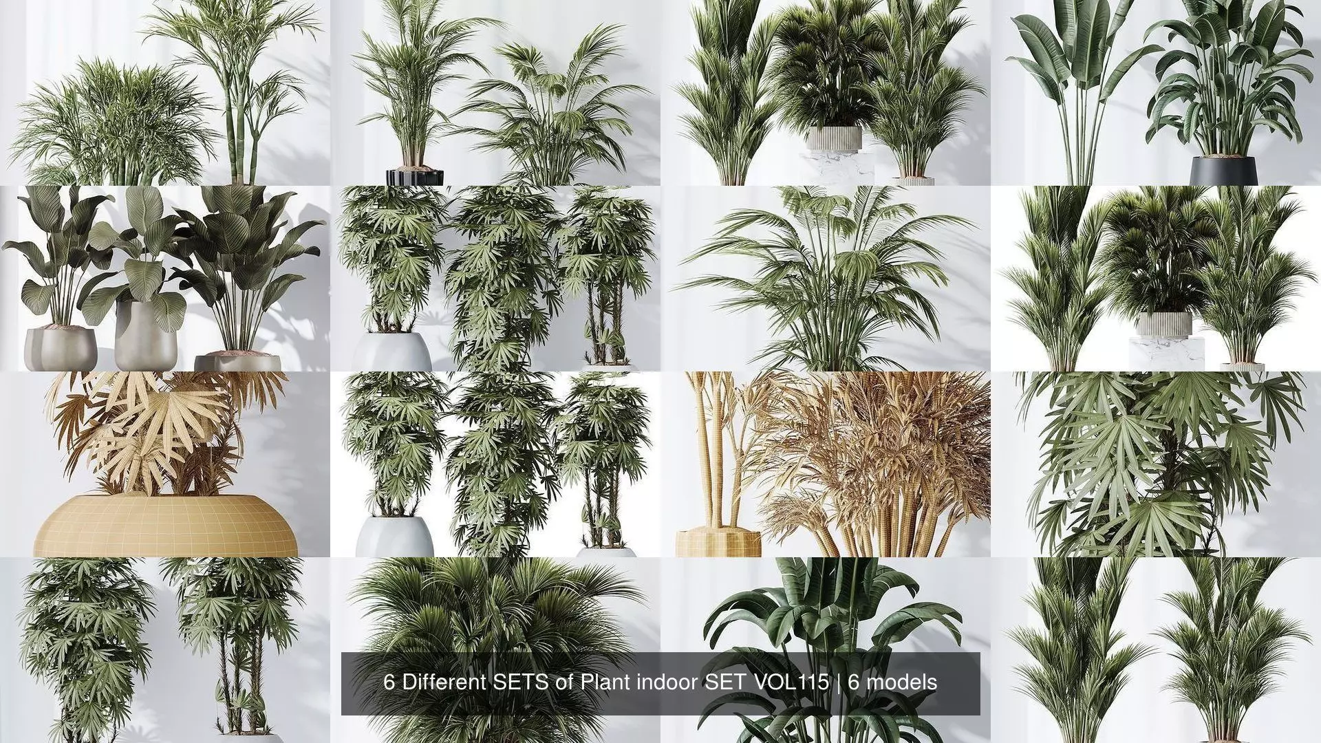 6 Different SETS of Plant indoor SET VOL115 3D Model Collection_1