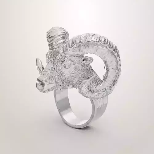 Ram head 3d ring