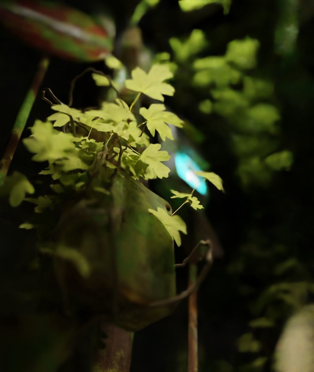 NIGHT Blender scene file 3D model_3