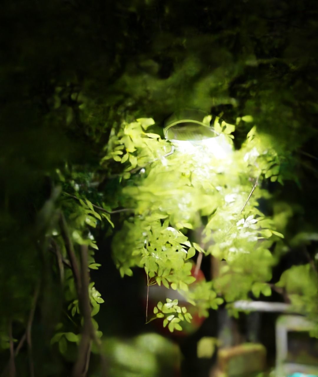 NIGHT Blender scene file 3D model_4