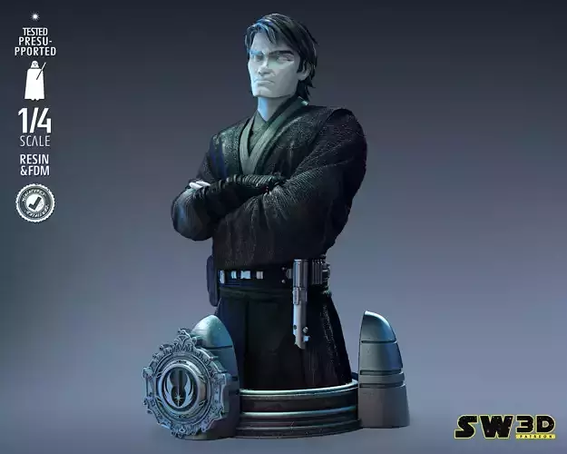 STAR WARS Anakin Skywalker Bust Tested for 3D printing